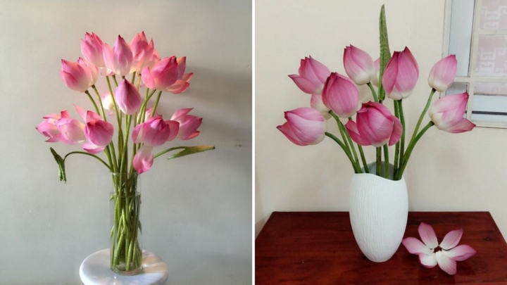 Bí quyết cắm hoa sen nở căng, lâu rụng cánh-1