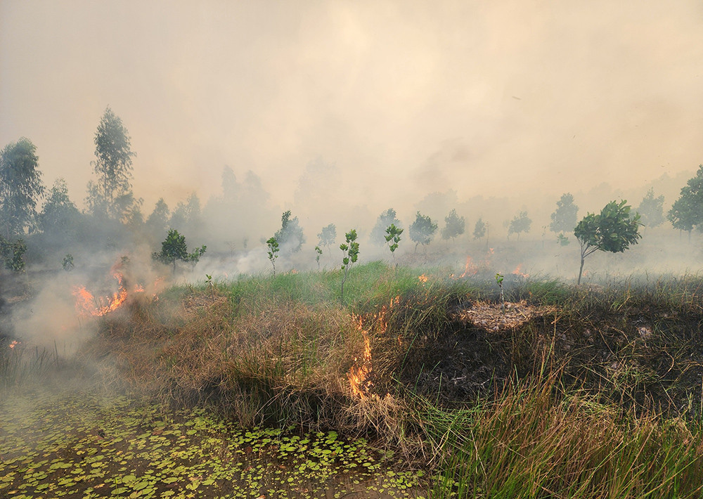 Cháy ngùn ngụt ở Vườn quốc gia Tràm Chim, khói bốc cao hàng trăm mét-2