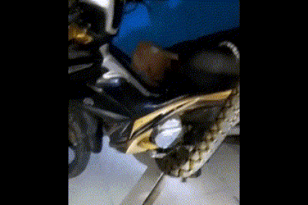 Kinh hoàng phát hiện trăn khổng lồ cuộn quanh xe máy