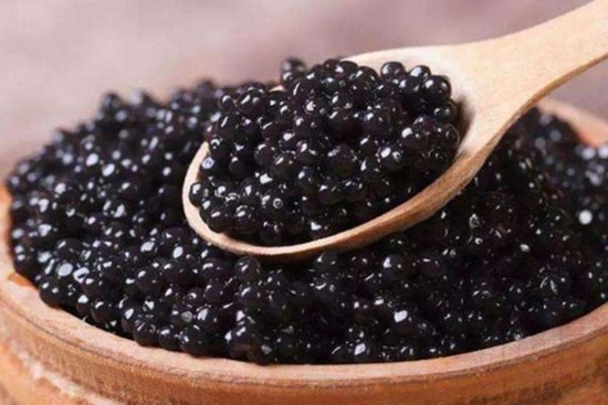 Đem cá tầm lên núi nuôi lấy trứng, giá 40 triệu đồng/kg