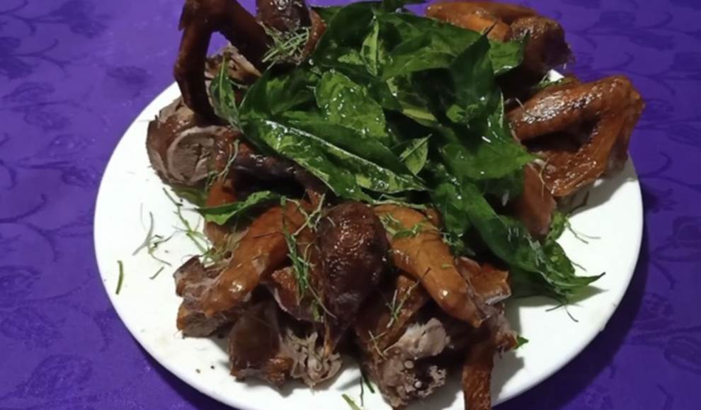 Các món bổ dưỡng từ chim câu-3