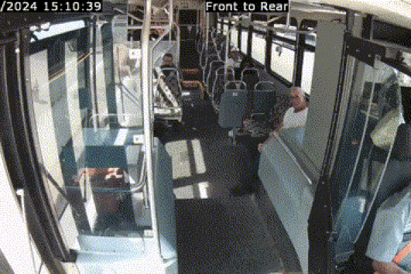 Khoảnh khắc kinh hoàng khi nai bị tông bay xuyên qua kính chắn gió xe buýt