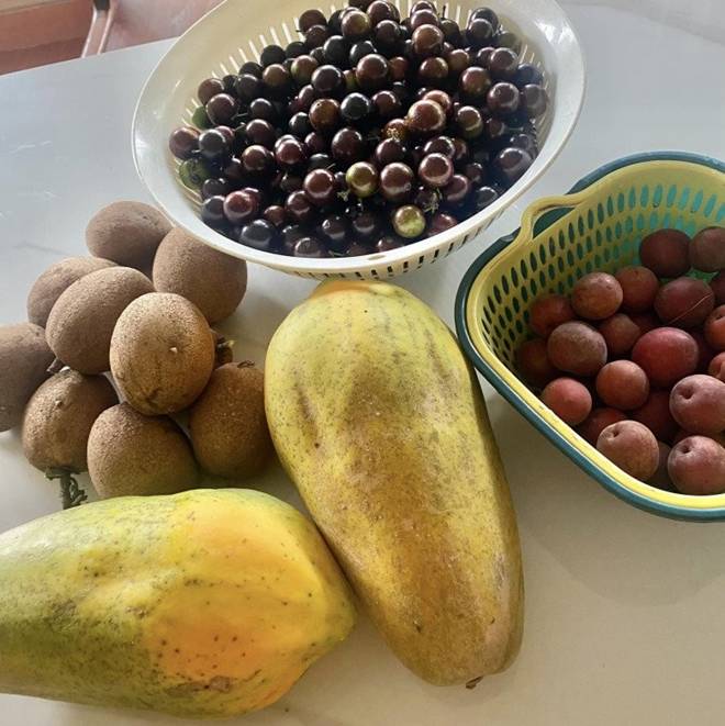 Nhà vườn 1.000m2 của NSND Thanh Hoa đủ hoa trái, nữ nghệ sĩ khoe loài hoa tím chuyển xanh đẹp mắt-16