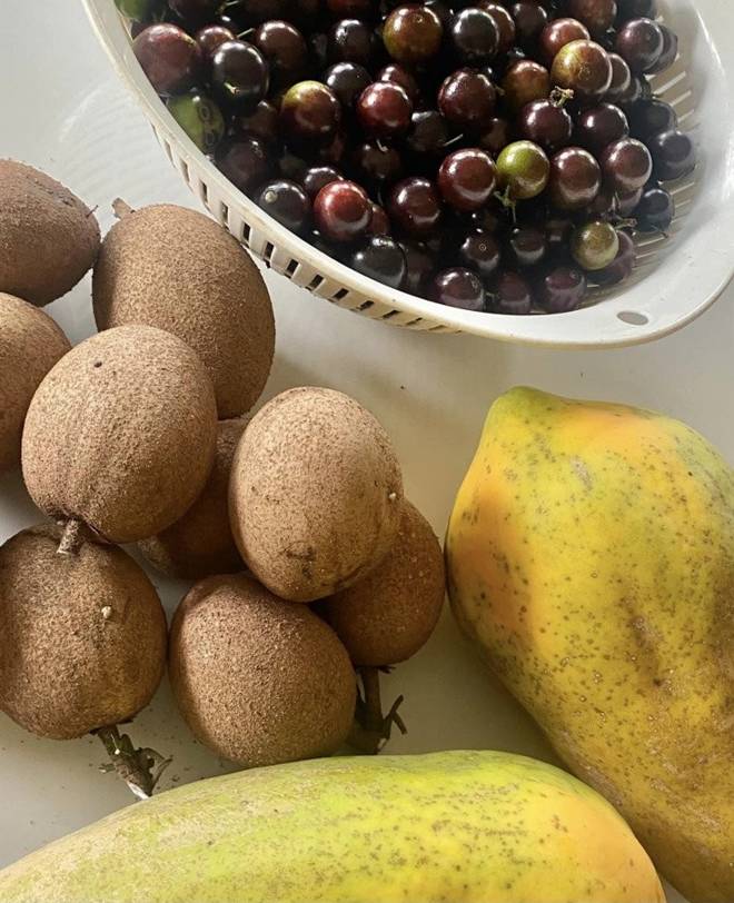 Nhà vườn 1.000m2 của NSND Thanh Hoa đủ hoa trái, nữ nghệ sĩ khoe loài hoa tím chuyển xanh đẹp mắt-17