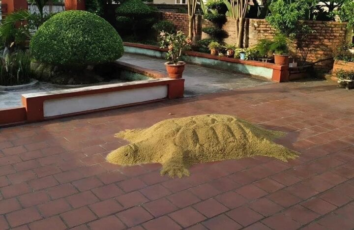 Cười bò khoảnh khắc ông bà trông cháu nghỉ hè hở ra là tìm khắp làng chưa thấy-7