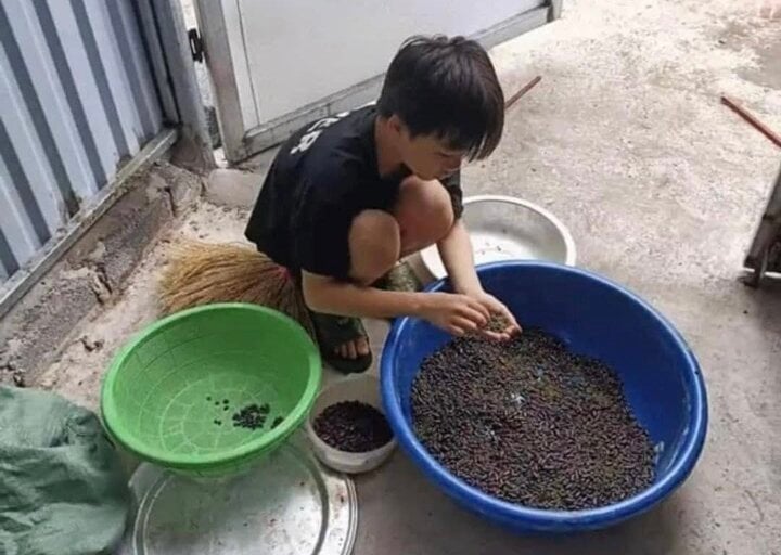 Cười bò khoảnh khắc ông bà trông cháu nghỉ hè hở ra là tìm khắp làng chưa thấy-10