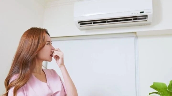 Điều hòa bị hôi là do đâu?-1