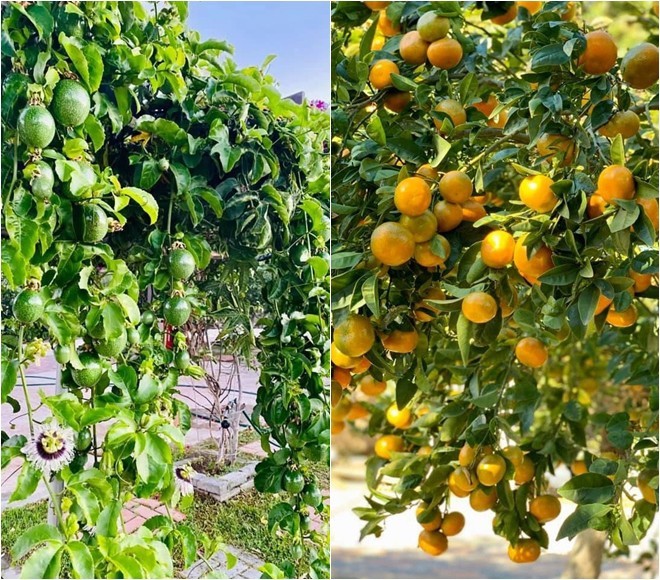 Bằng Kiều tặng mẹ món quà đắt tiền trong biệt thự 2000m2 ở Mỹ-19