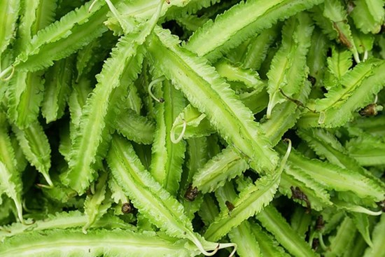 Loại đậu mà đông y gọi là 