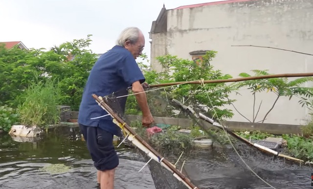 Ao cá trên nóc nhà của cụ ông 89 tuổi ở Hải Dương: Có khách cũng không phải đi chợ, lên ao là có ăn-4