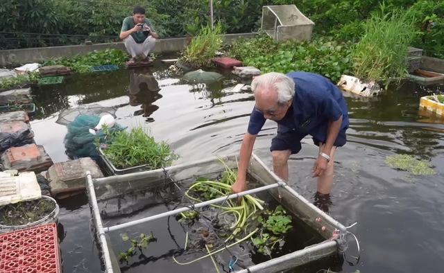 Ao cá trên nóc nhà của cụ ông 89 tuổi ở Hải Dương: Có khách cũng không phải đi chợ, lên ao là có ăn-5