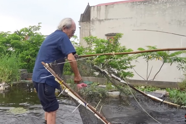 Trồng hoa hồng nhớ dùng những tuyệt chiêu này để hoa nở nhiều-3