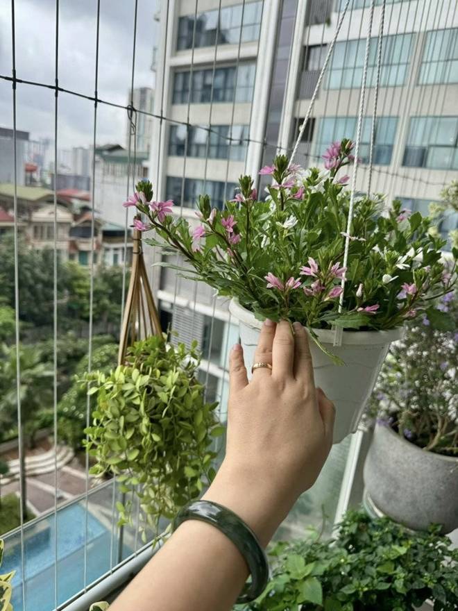 Ban công xanh nhà NSND Tự Long được cả 2 vợ chồng thích thú, bà xã Đại úy còn khoe: View thật tuyệt-6