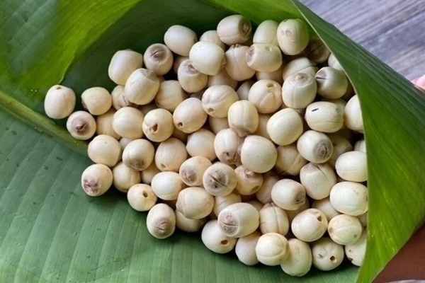 11 công dụng tuyệt vời của hạt sen với sức khoẻ không phải ai cũng biết-1