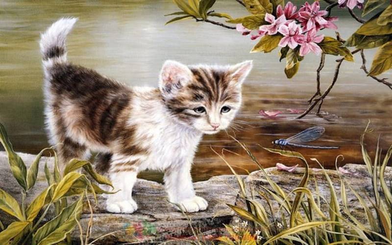 4 con giáp sinh ra đã có óc kinh doanh nhạy bén, giàu có chỉ là chuyện sớm muộn-2