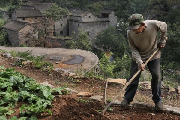 Bố qua đời, mẹ đi bước nữa, bố dượng ngoài 60 tuổi nặng nhọc mưu sinh nuôi 3 anh em tôi, cuối cũng cũng có ngày ‘hái trái ngọt’-2