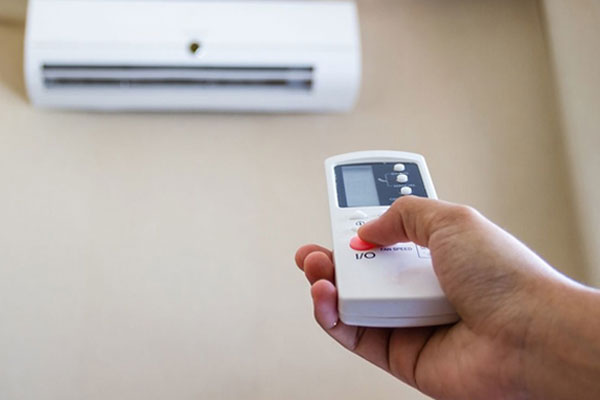 Mẹo dùng bột giặt diệt trừ sâu bọ-2