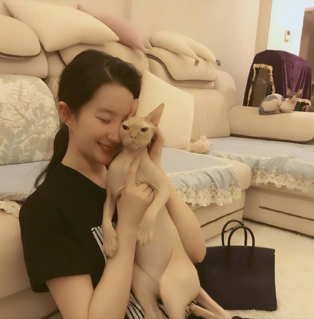 Bên trong dinh thự 16.700m2 của Lưu Diệc Phi cùng hơn 50 chú mèo-8