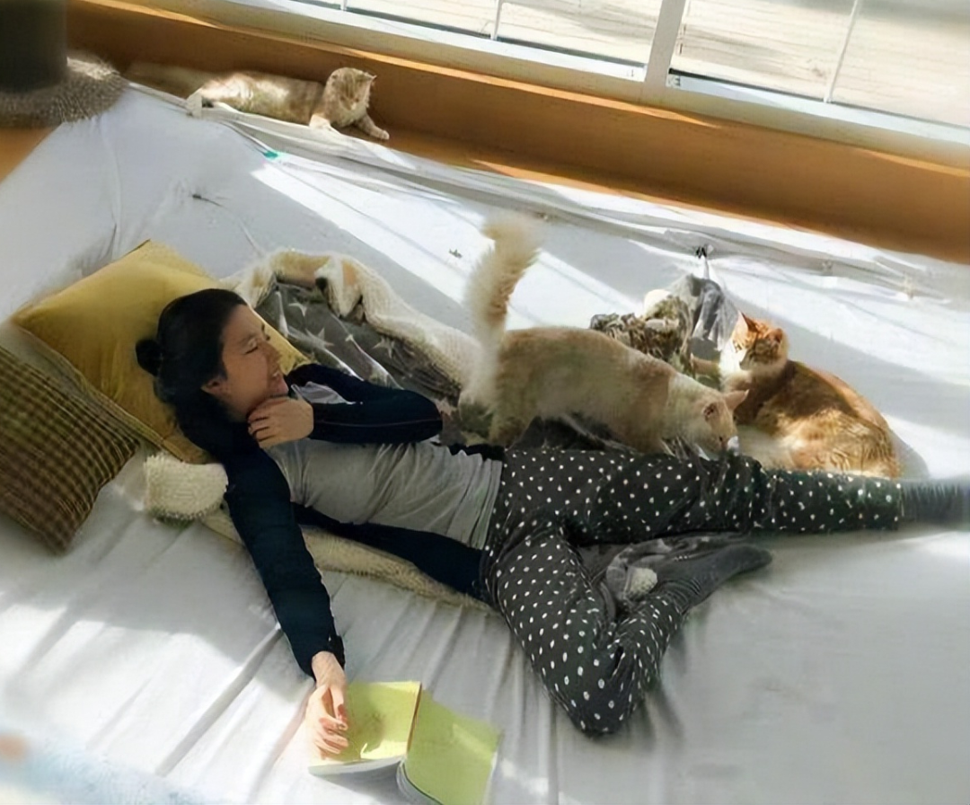 Bên trong dinh thự 16.700m2 của Lưu Diệc Phi cùng hơn 50 chú mèo-10