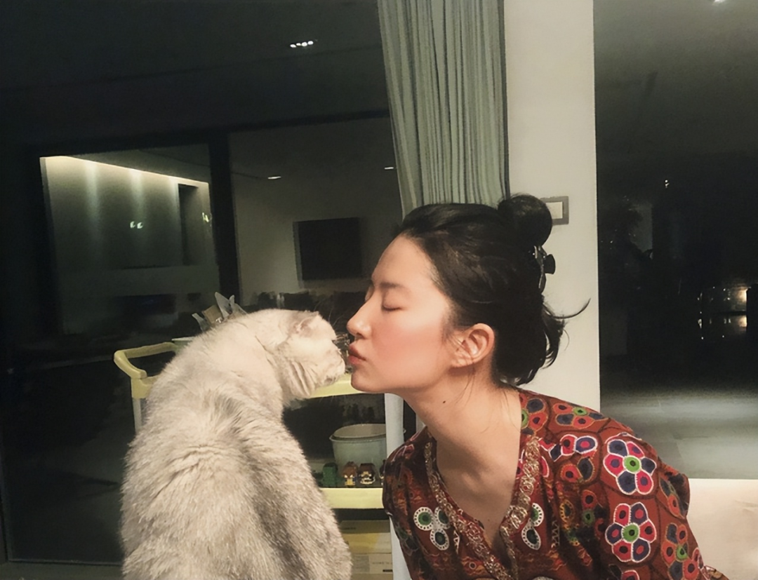 Bên trong dinh thự 16.700m2 của Lưu Diệc Phi cùng hơn 50 chú mèo-9