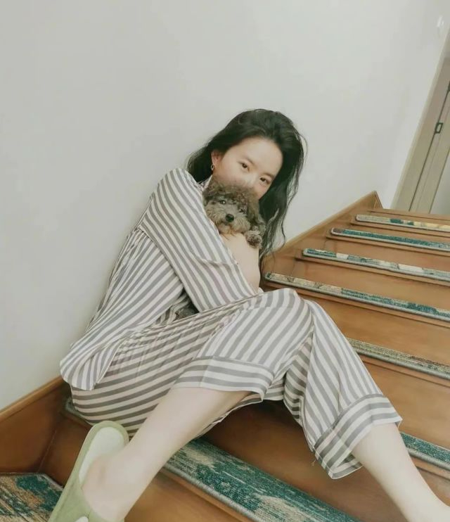 Bên trong dinh thự 16.700m2 của Lưu Diệc Phi cùng hơn 50 chú mèo-18