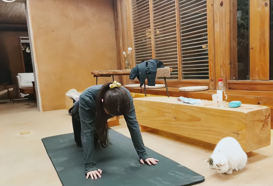 Bên trong dinh thự 16.700m2 của Lưu Diệc Phi cùng hơn 50 chú mèo-16