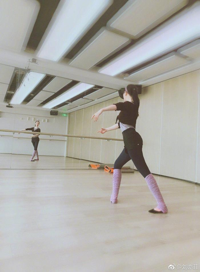 Bên trong dinh thự 16.700m2 của Lưu Diệc Phi cùng hơn 50 chú mèo-17