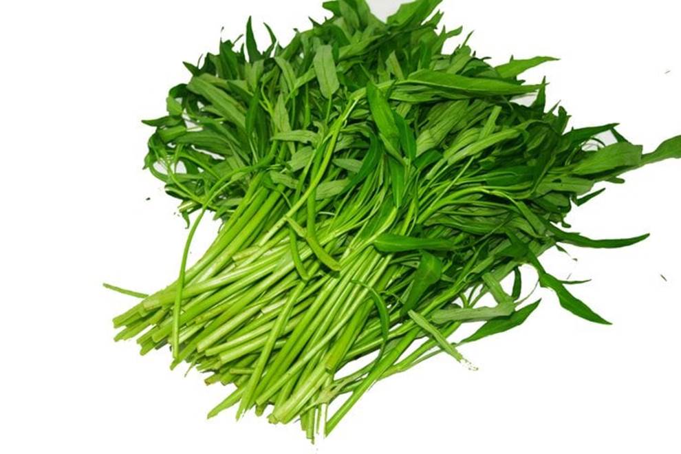 5 loại rau mùa hè chỉ cần cắm cành xuống đất là phát triển tươi tốt-1