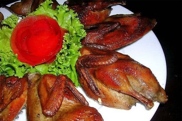 Những tác dụng tuyệt vời của chim bồ câu đối với sức khoẻ-1