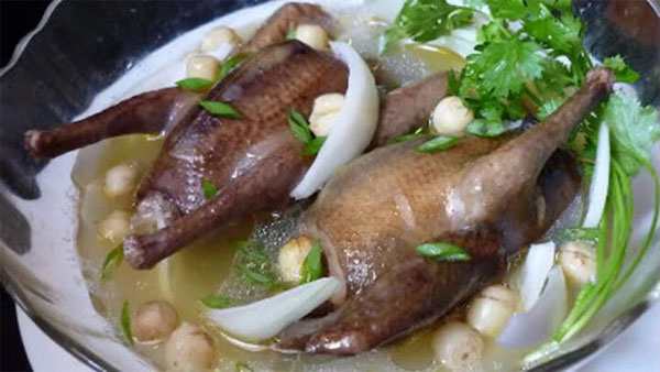 Những tác dụng tuyệt vời của chim bồ câu đối với sức khoẻ-2