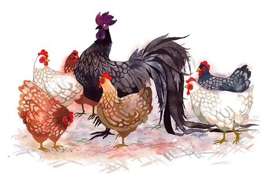 Nổi tiếng đanh đá, ghê gớm nhưng 5 con giáp này lại chiều chồng hết mực