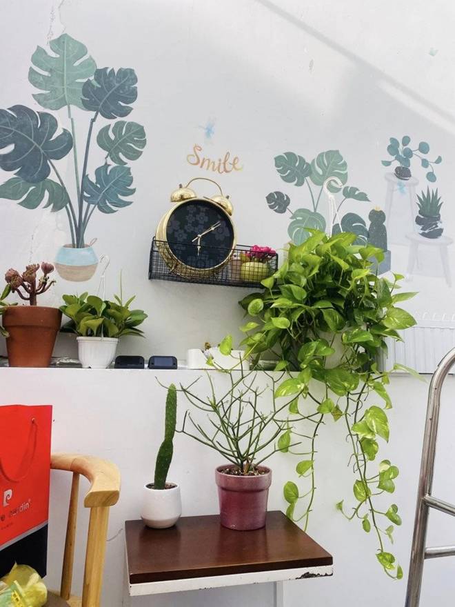 Ca sĩ Thu Phượng khoe căn nhà đầy tiếng chim hót, cho biết chồng Tây rất yêu cây cỏ hoa lá-2