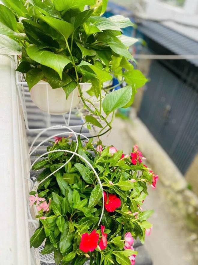 Ca sĩ Thu Phượng khoe căn nhà đầy tiếng chim hót, cho biết chồng Tây rất yêu cây cỏ hoa lá-7