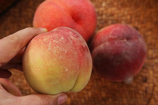 Đi chợ mua đào nên chọn quả tròn hay quả nhọn? Việc tưởng đơn giản nhưng bấy lâu nhiều người hiểu sai-5