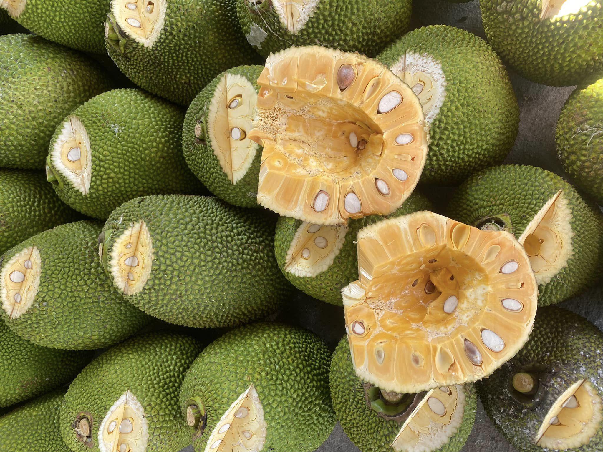 Thứ quả được ví như siêu thực phẩm”, giá bán chỉ từ 3.000 đồng/kg-2