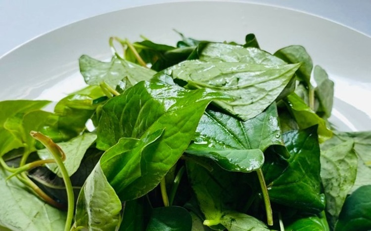 Loại rau mọc bờ rào siêu rẻ, dễ kiếm giúp thanh nhiệt, bổ phổi-1