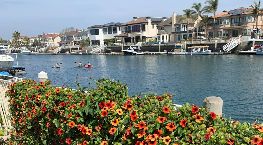 Nữ ca sĩ Việt tuổi 50 viên mãn bên chồng con trong biệt thự hơn 70 tỷ đồng ở Mỹ-7