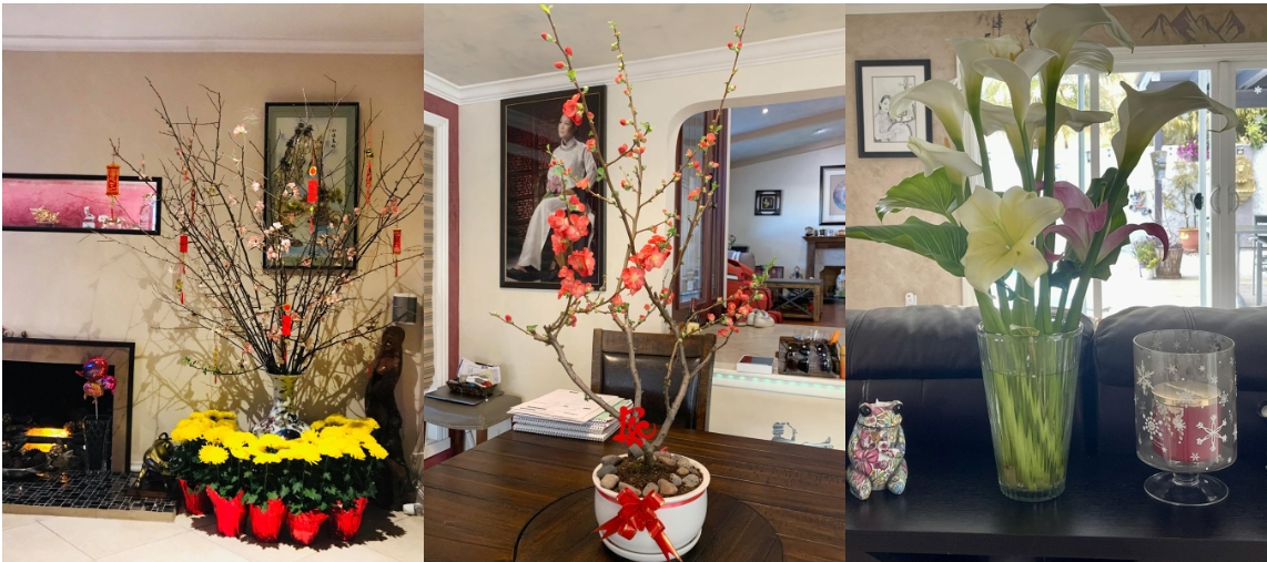 Nữ ca sĩ Việt tuổi 50 viên mãn bên chồng con trong biệt thự hơn 70 tỷ đồng ở Mỹ-11