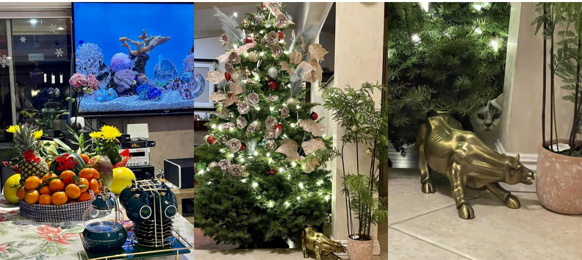 Nữ ca sĩ Việt tuổi 50 viên mãn bên chồng con trong biệt thự hơn 70 tỷ đồng ở Mỹ-12