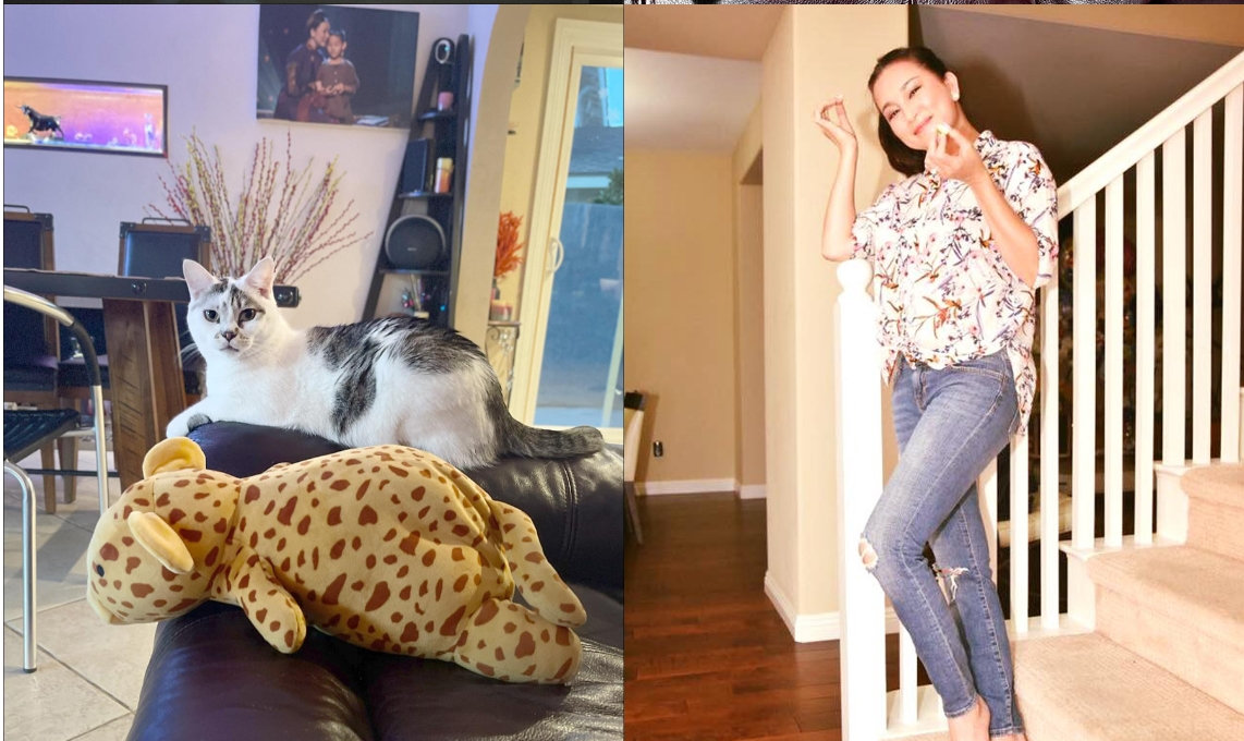 Nữ ca sĩ Việt tuổi 50 viên mãn bên chồng con trong biệt thự hơn 70 tỷ đồng ở Mỹ-15