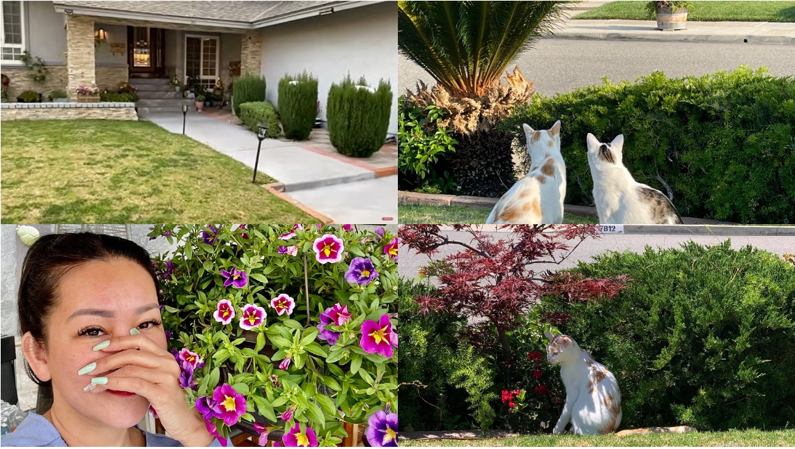 Nữ ca sĩ Việt tuổi 50 viên mãn bên chồng con trong biệt thự hơn 70 tỷ đồng ở Mỹ-16