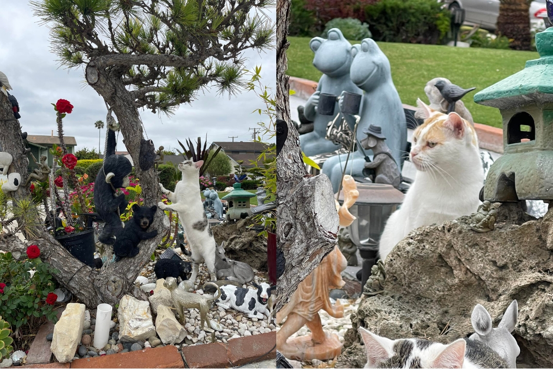 Nữ ca sĩ Việt tuổi 50 viên mãn bên chồng con trong biệt thự hơn 70 tỷ đồng ở Mỹ-17