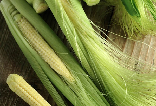 Việt Nam rất sẵn 5 loại thuốc bổ giàu dinh dưỡng, được ví như insulin tự nhiên giúp hạ đường huyết cực kì tốt-1