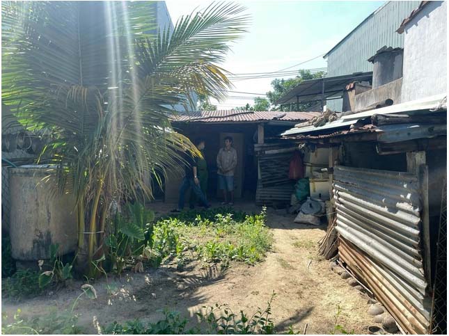 Mất vàng, tiền hơn 1,5 tỉ đồng giấu trong 2 phuy lúa trước hiên nhà-1