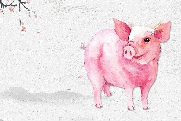 Tử vi 12 con giáp hôm nay ngày 19/6/2024: Mùi cố gắng, Mão kỹ càng-2