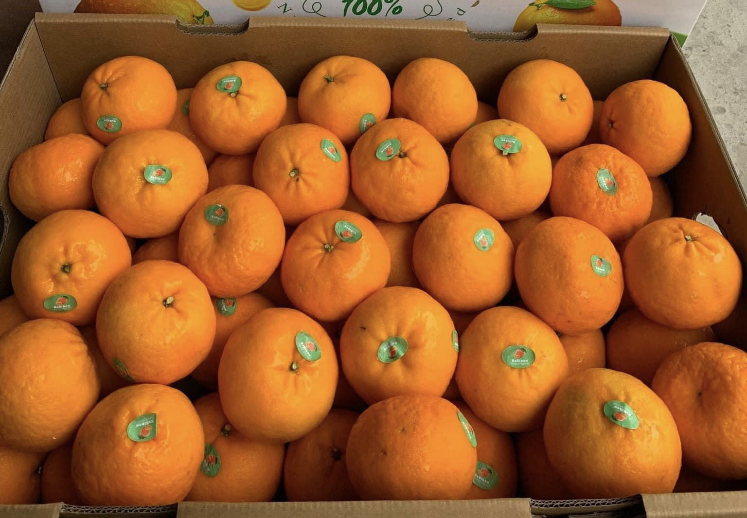 Nắng đổ lửa, một loại quả giải nhiệt nhập khẩu đổ bộ chợ với giá siêu rẻ-2