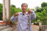 Dị nhân Nam Định móng tay dài 1m vì 33 năm không cắt, giờ muốn bán với giá 7 tỷ đồng