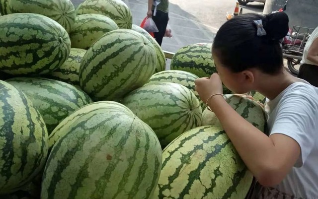 Không cần gõ, nhìn vào phần này của dưa hấu là chọn được quả ngon, ngọt lịm: Đơn giản mà chính xác-1