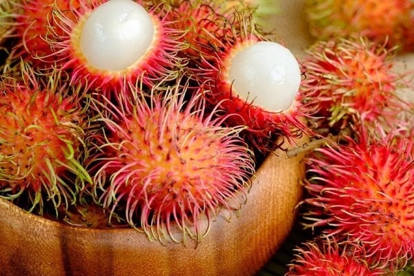 Mua mực khô nên chọn con to hay con nhỏ?-4