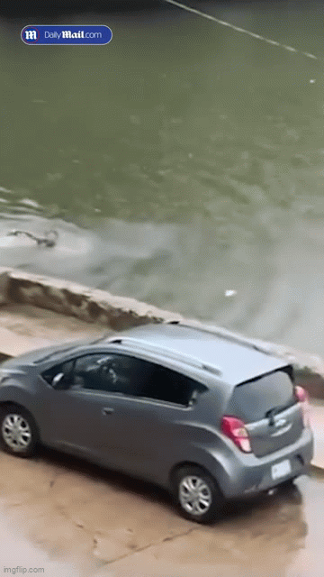 Đang bơi dưới đầm, người đàn ông quay lại phía sau thì hoảng hồn khi chỉ cách Tử thần vài mét-2